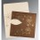 BROWN SHIMMERY SCREEN PRINTED WEDDING INVITATION : CIN-8251F - IndianWeddingCards